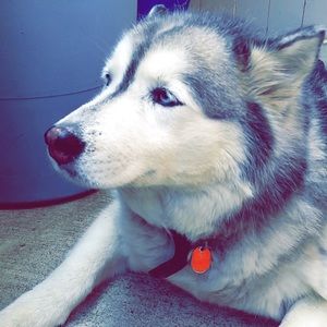 Meet your Posher, Jill